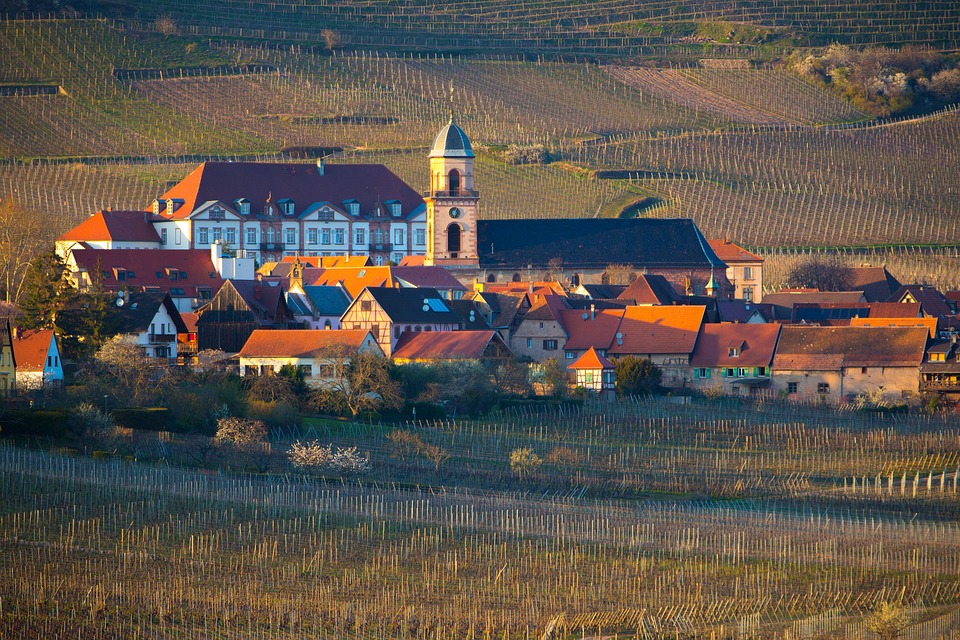 Dekoratives Bild Weintalk | Von Weinbergen umgebene Ortschaft in Frankreich