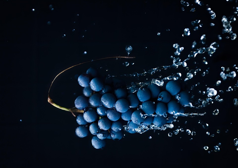 Dekoratives Bild Weinprobe | Weintrauben